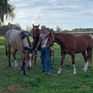 Meet your Posher, Luke